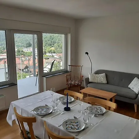 Ferienwohnung Mit Neckarblick