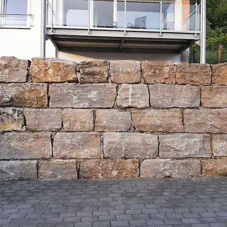 Ferienwohnung Mit Neckarblick Апартаменты Эбербах